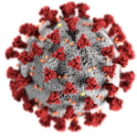 coronavirus-image