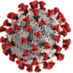 coronavirus-image2